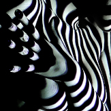 Fashion with SEO KEWORDS