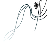 Fashion with SEO KEWORDS