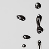 Fashion with SEO KEWORDS