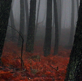 Mulvenna with SEO KEWORDS