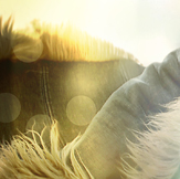 Fashion with SEO KEWORDS