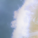 Trazanne with SEO KEWORDS