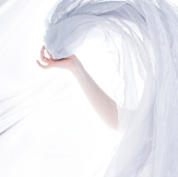 Wonderland with SEO KEWORDS