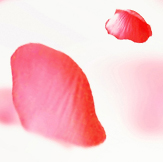 CURIOUS with SEO KEWORDS