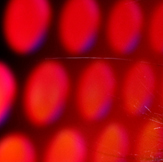 Fashion with SEO KEWORDS