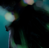 Fashion with SEO KEWORDS