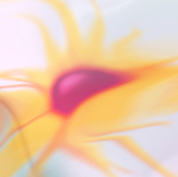 Curious with SEO KEWORDS